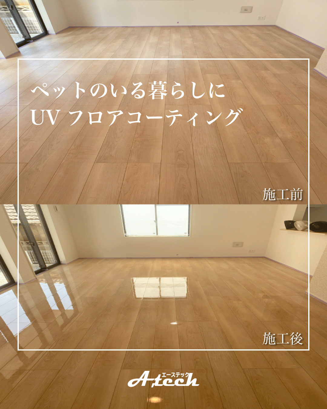 UVフロアコーティングでペットも人も安心な住まいに