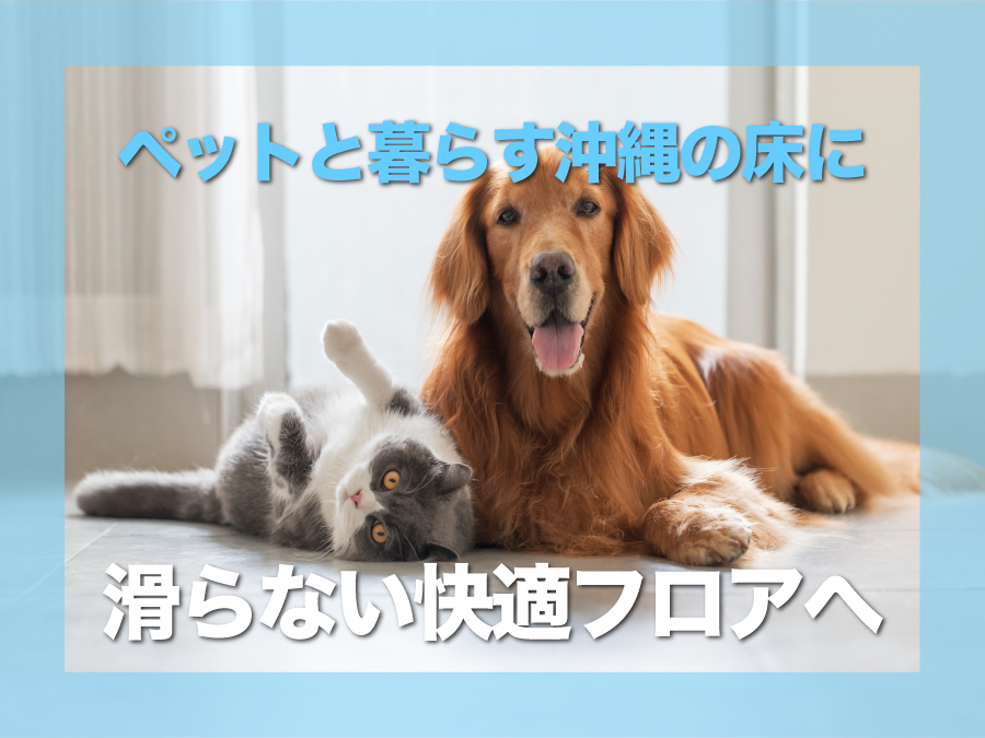 ペットと快適に暮らす沖縄の床づくり|滑り・傷・におい対策に最適なフロアコーティングとは