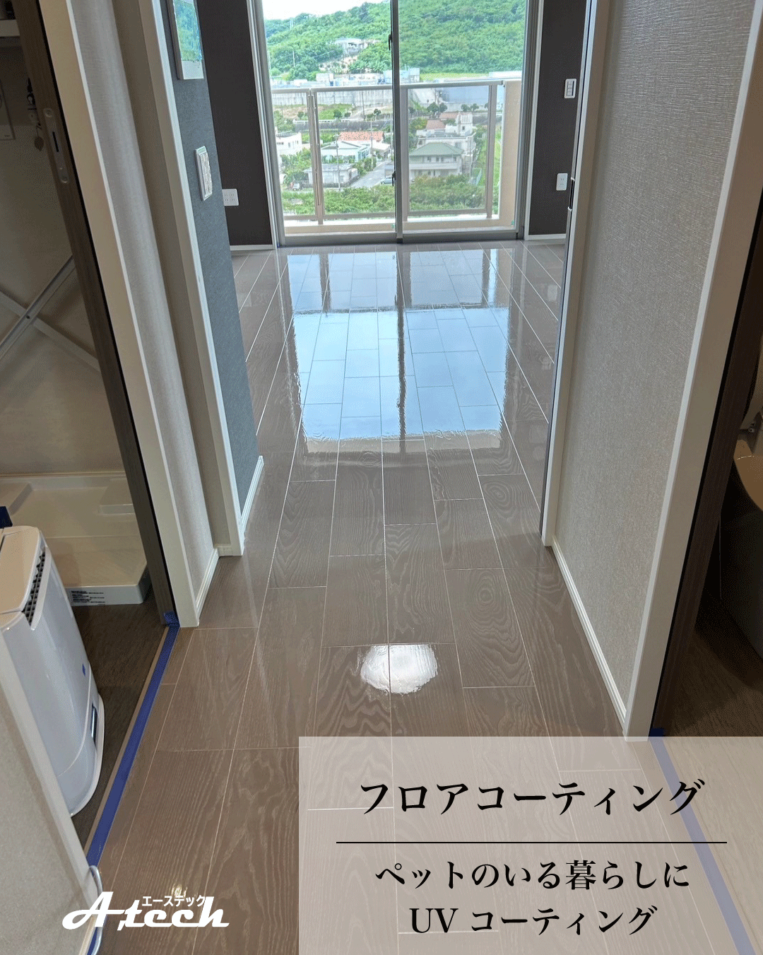 沖縄県宜野湾市でペット用UVフロアコーティング｜新築マンション施工事例