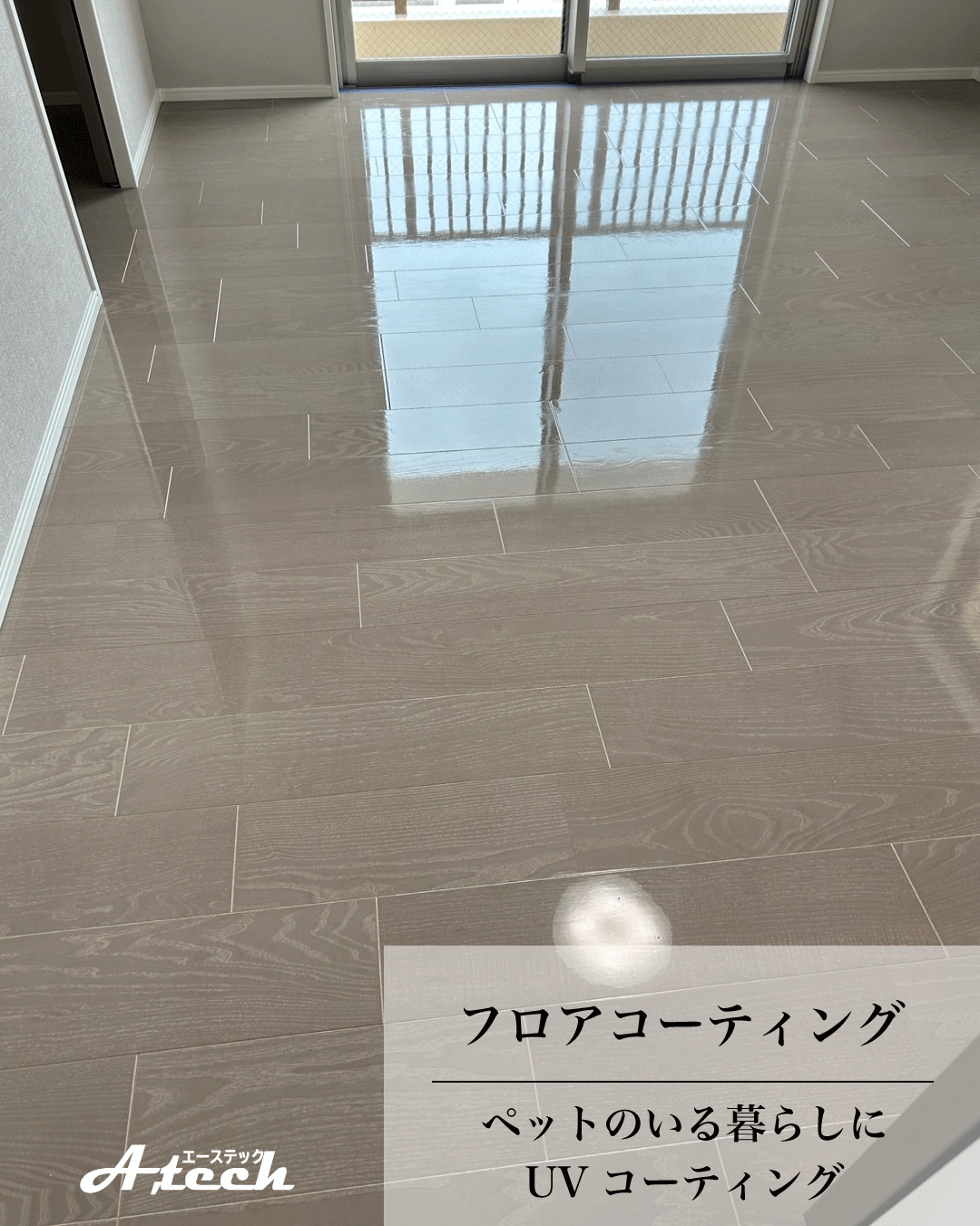 沖縄県那覇市でペット用UVフロアコーティング｜入居中マンション施工事例