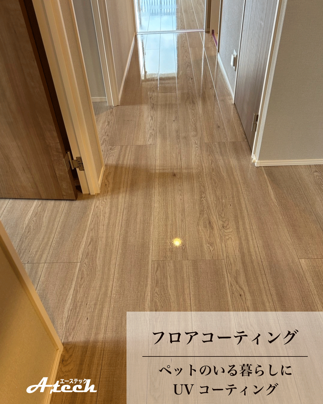 沖縄県浦添市でペット用UVフロアコーティング｜新築マンション施工事例