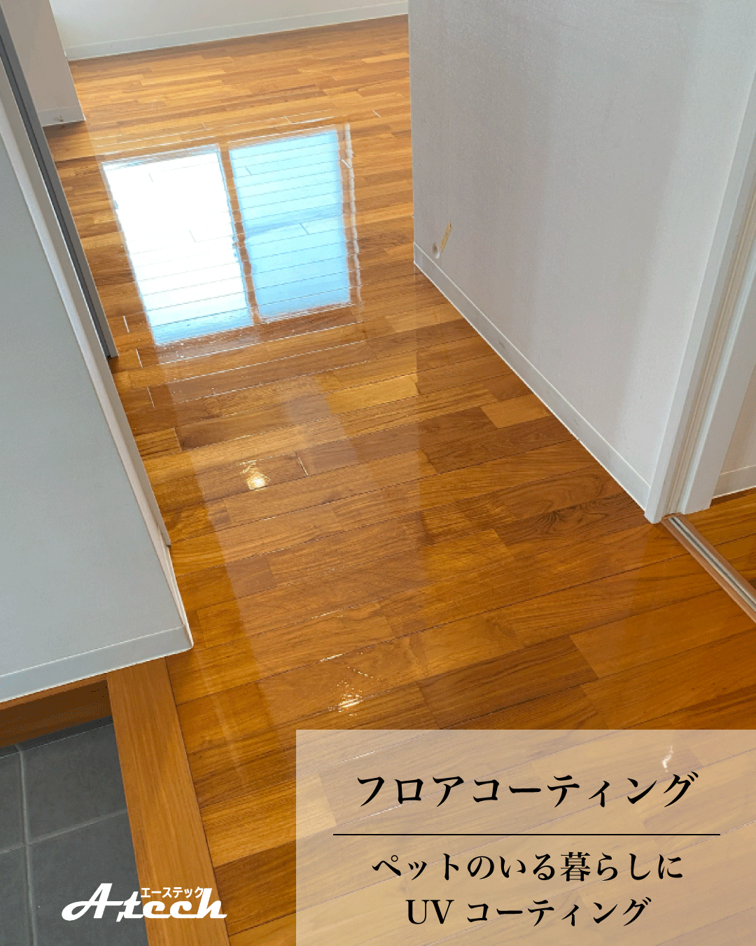 沖縄県南城市でペット用UVフロアコーティング｜新築戸建て施工事例