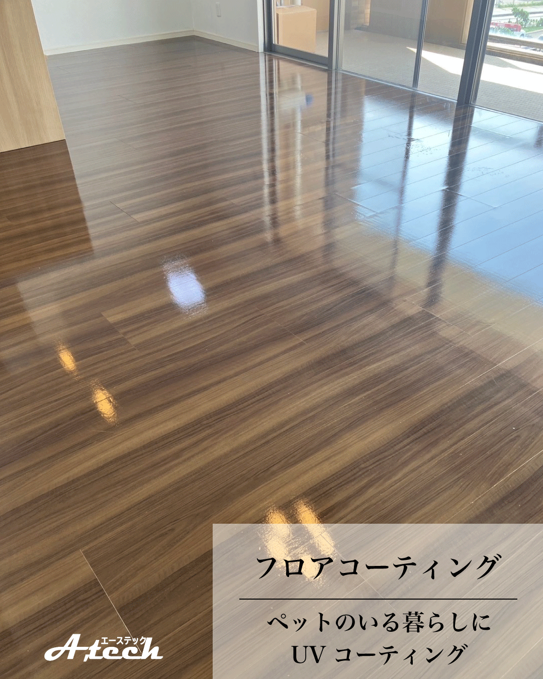 沖縄県宜野湾市でペット用UVフロアコーティング｜入居中マンション施工事例