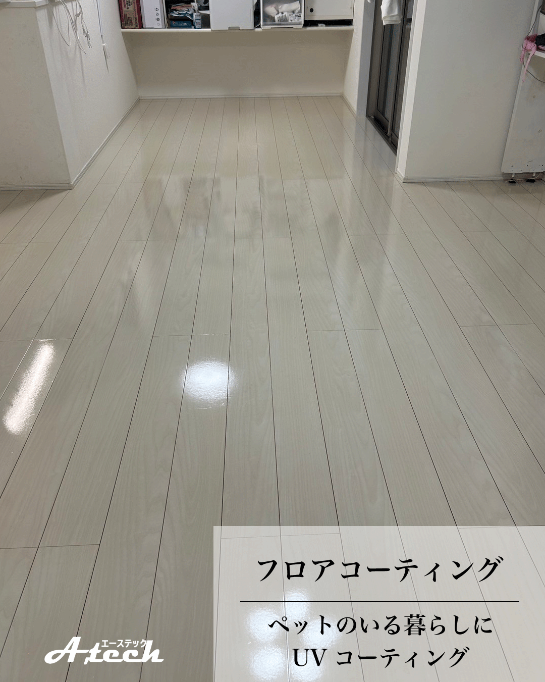 沖縄県読谷村でペット用UVフロアコーティング|入居中戸建て施工事例