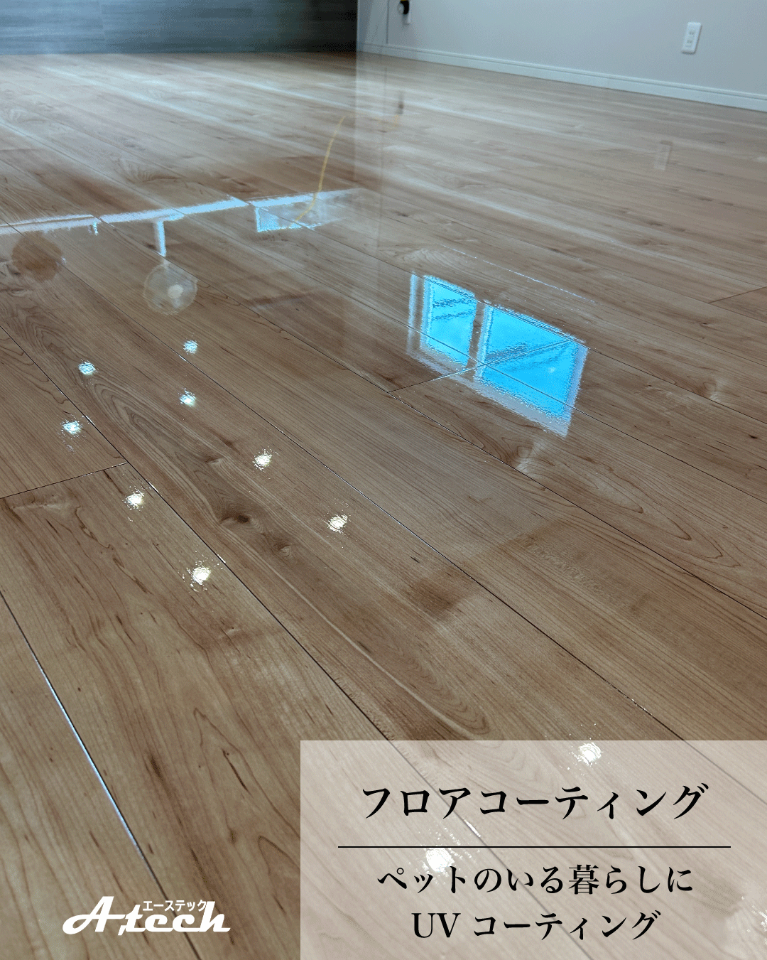 沖縄県南城市でペット用UVフロアコーティング｜新築戸建て施工事例
