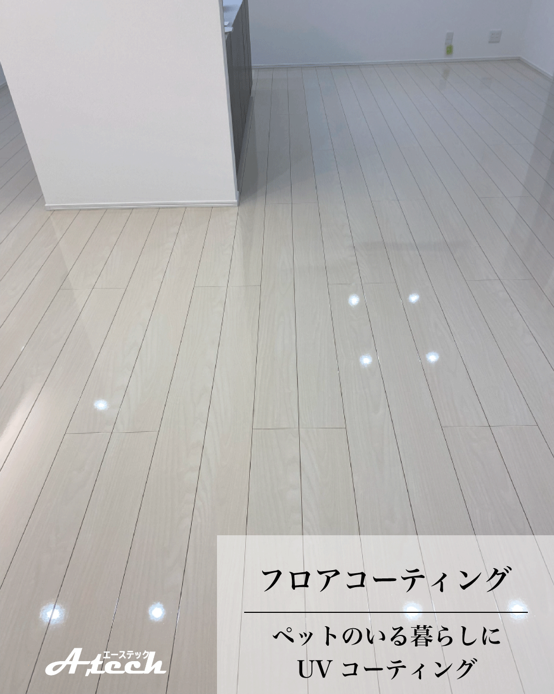 沖縄県読谷村でペット用UVフロアコーティング｜新築戸建て施工事例