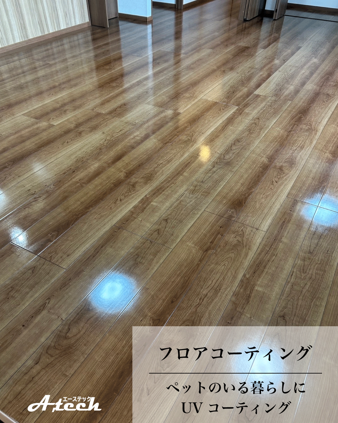 沖縄県うるま市でペット用UVフロアコーティング｜新築戸建て施工事例