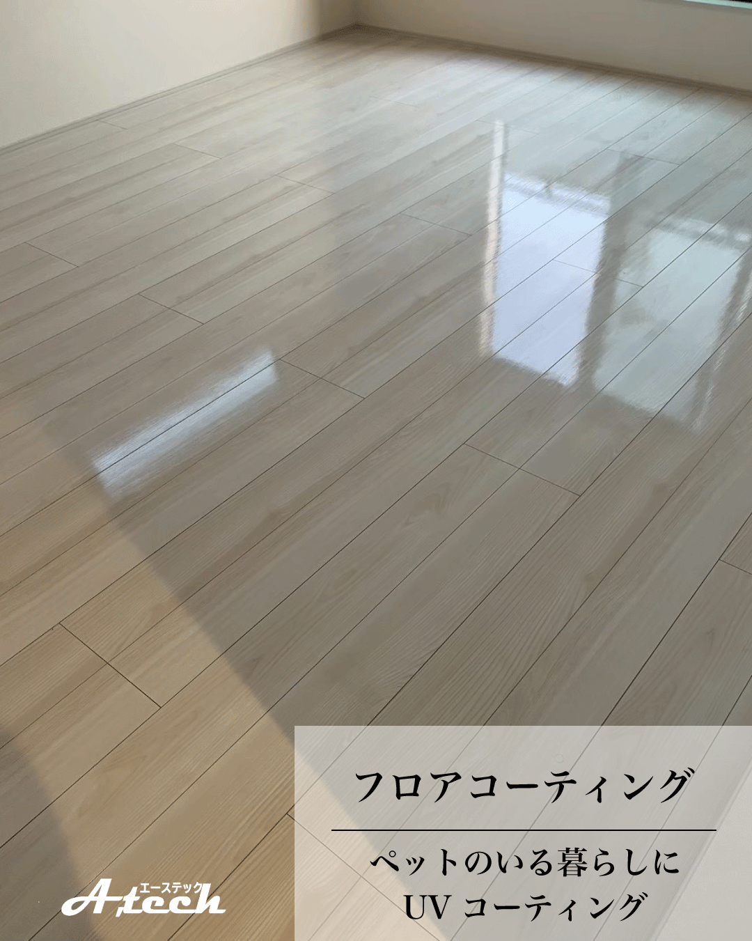沖縄県うるま市でペット用UVフロアコーティング｜新築戸建て施工事例