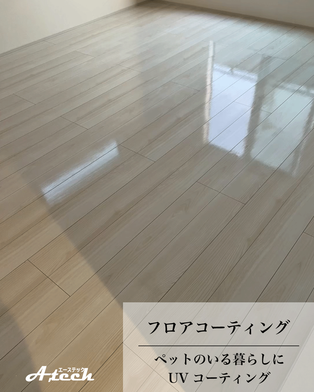 沖縄県八重瀬町でペット用UVフロアコーティング｜新築戸建て施工事例