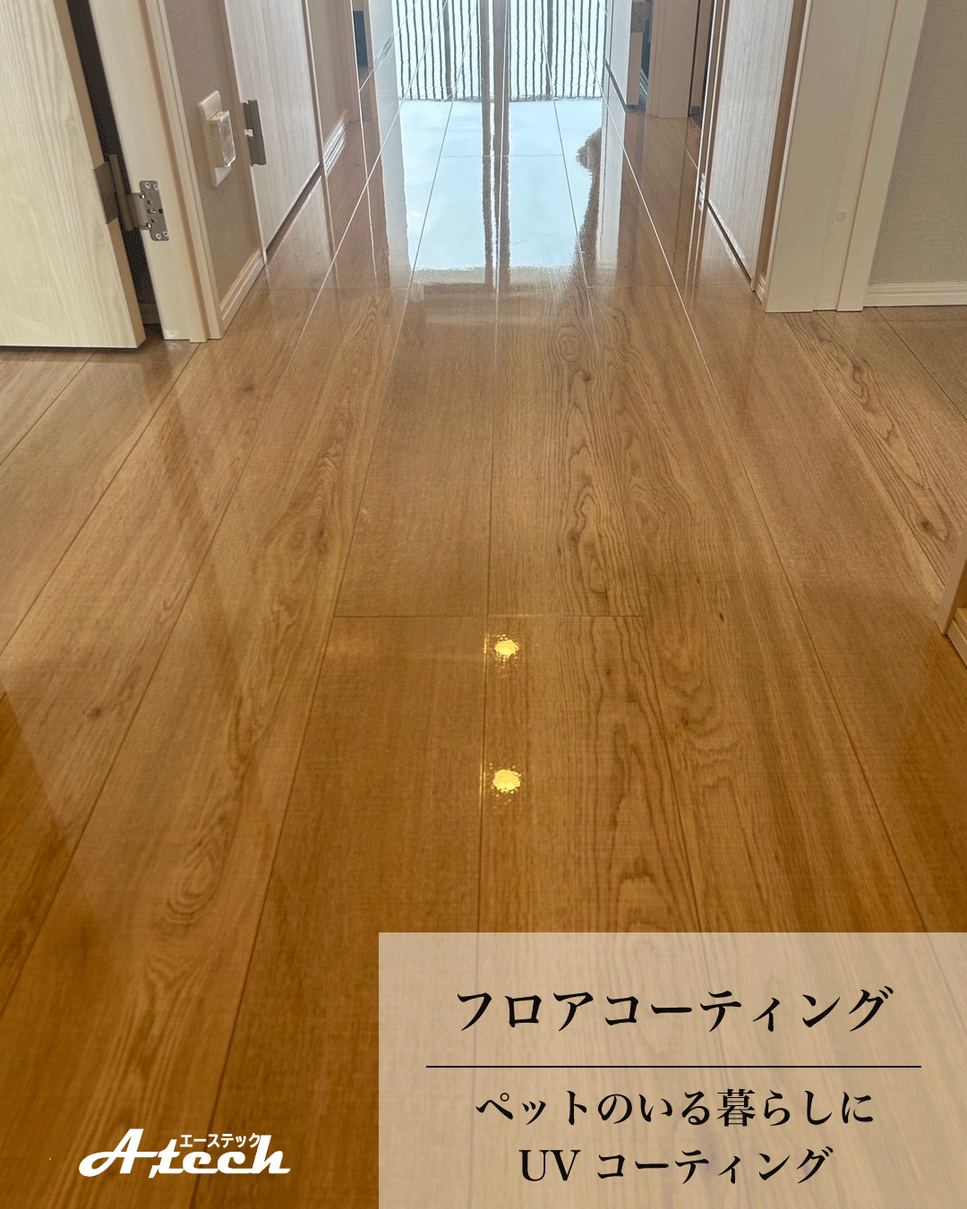 沖縄県那覇市でペット用UVフロアコーティング|新築マンション施工事例
