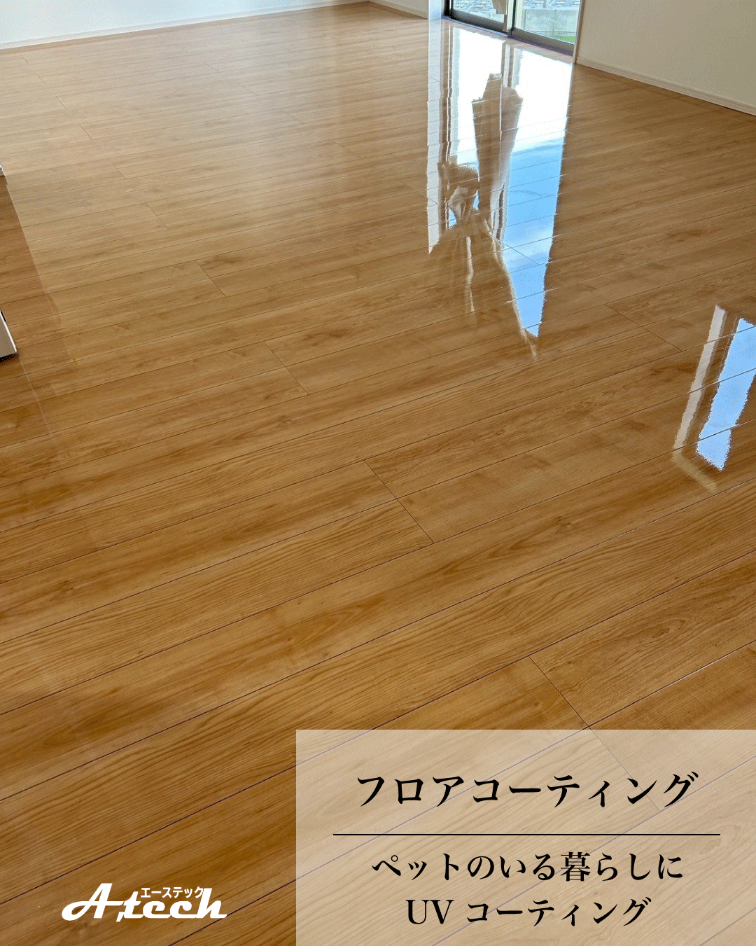 沖縄県名護市でペット用UVフロアコーティング｜新築戸建て施工事例