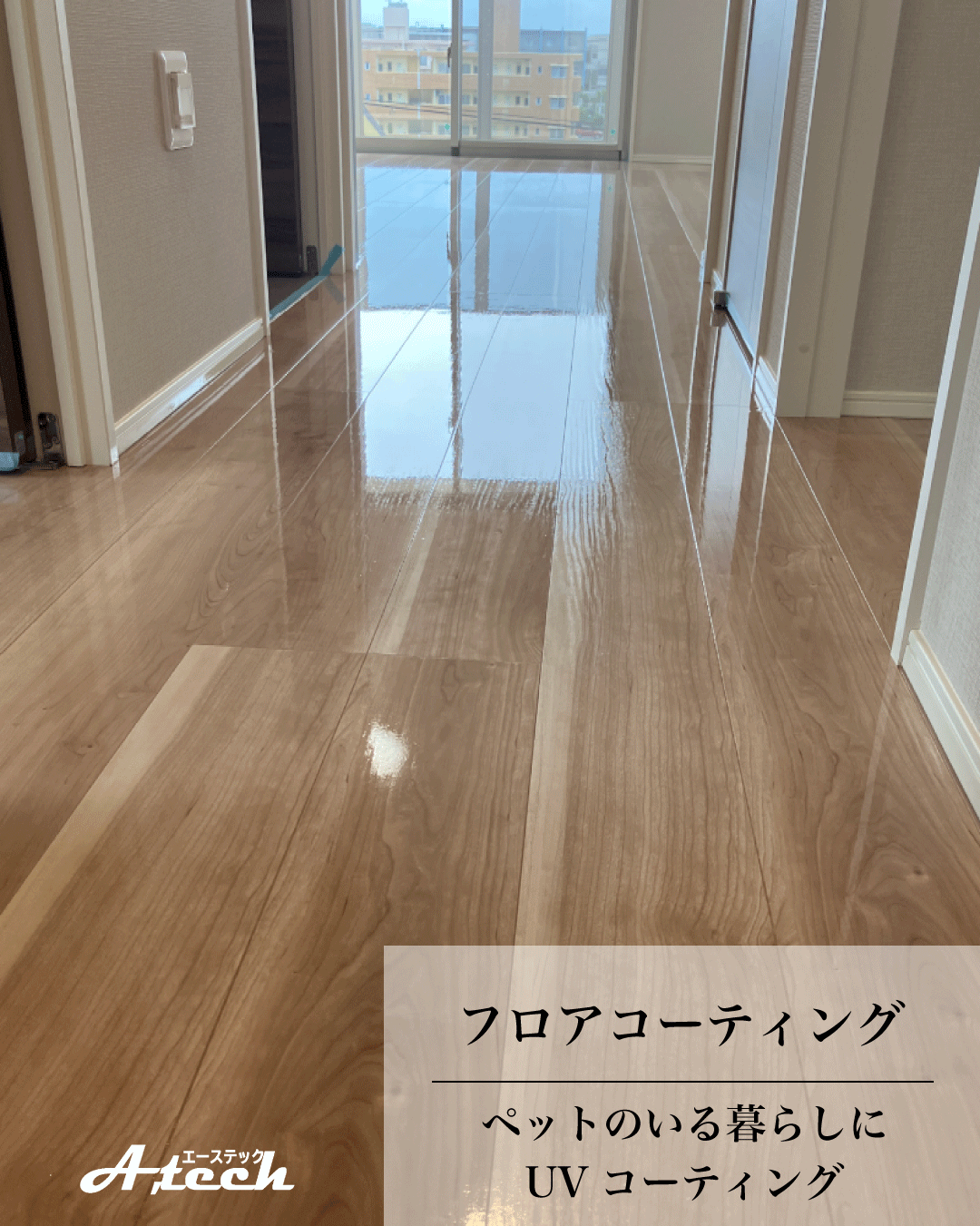 沖縄県浦添市でペット用UVフロアコーティング｜新築マンション施工事例
