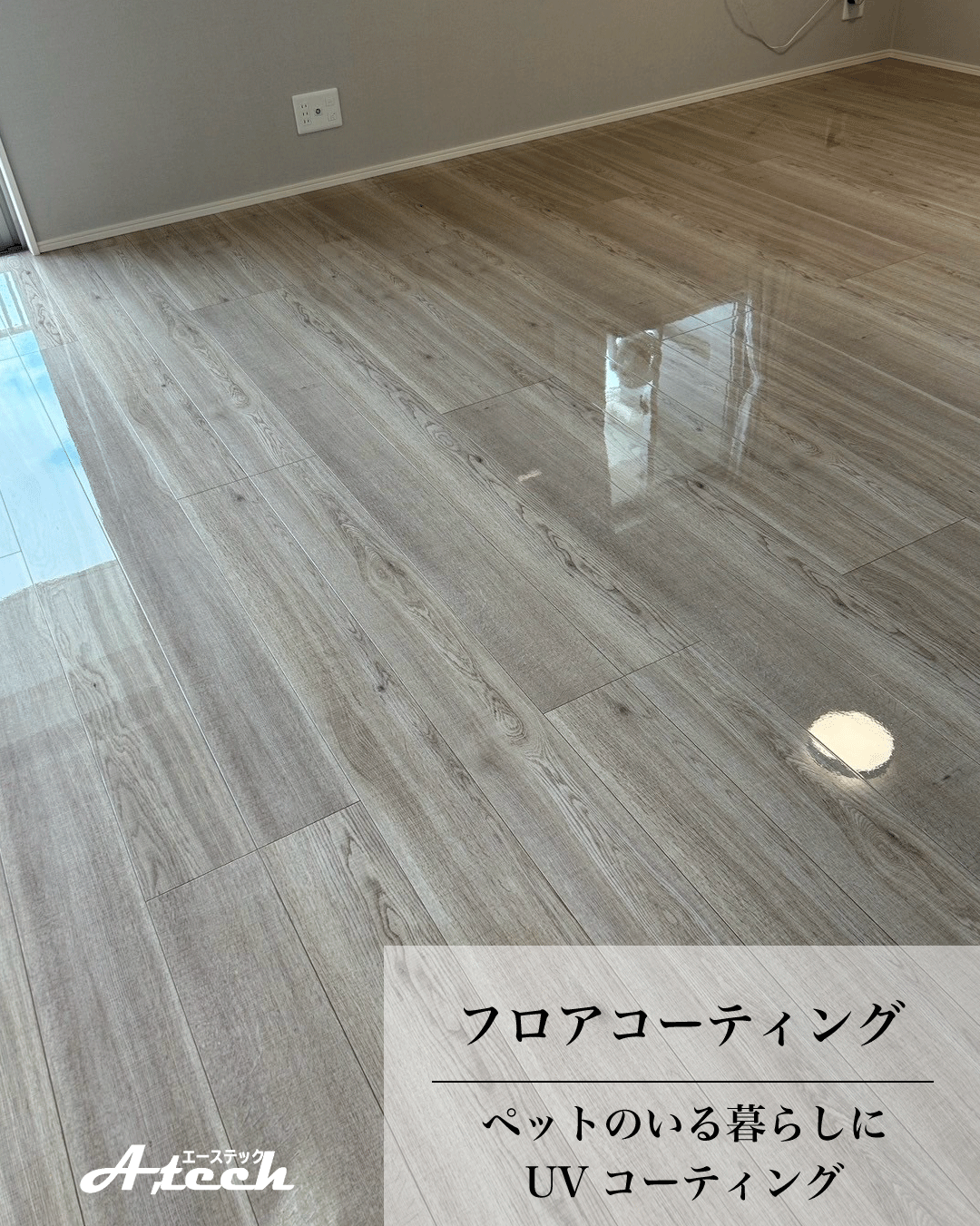 沖縄県糸満市でペット用UVフロアコーティング｜新築戸建て施工事例