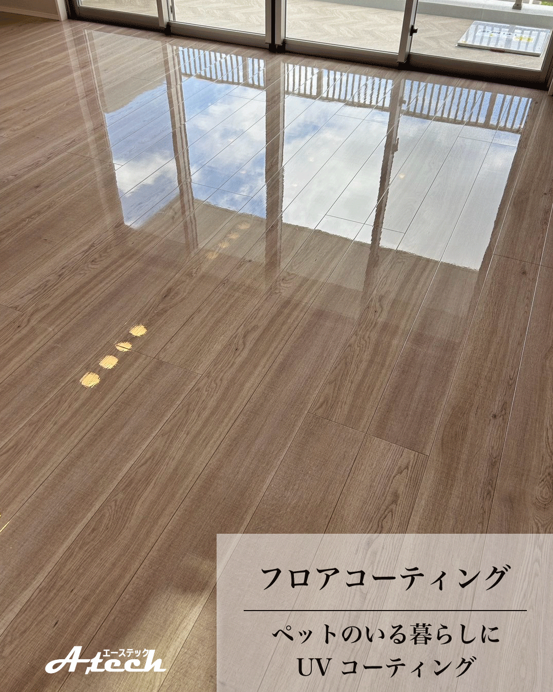 沖縄県宜野湾市でペット用UVフロアコーティング｜新築マンション施工事例
