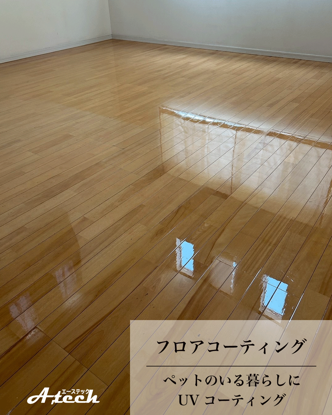 沖縄県豊見城市でペット用UVフロアコーティング｜入居中戸建て施工事例