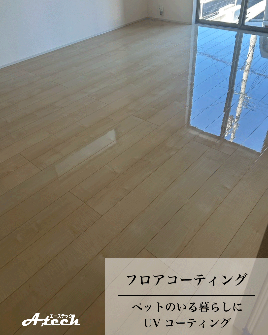沖縄県那覇市でペット用UVフロアコーティング|新築戸建て施工事例