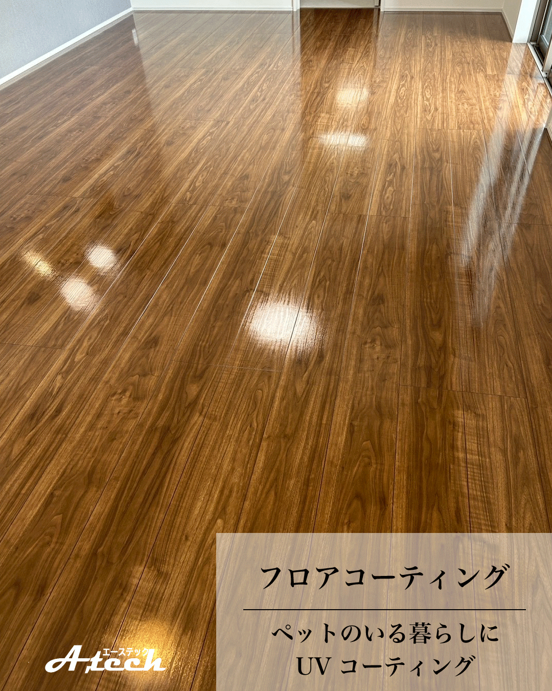 沖縄県与那原町でペット用UVフロアコーティング|新築戸建て施工事例