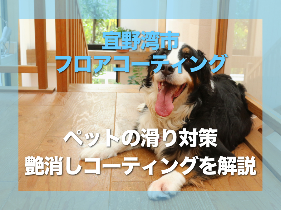 宜野湾市ペットの滑り対策にスーパーマットフロアコーティングを解説