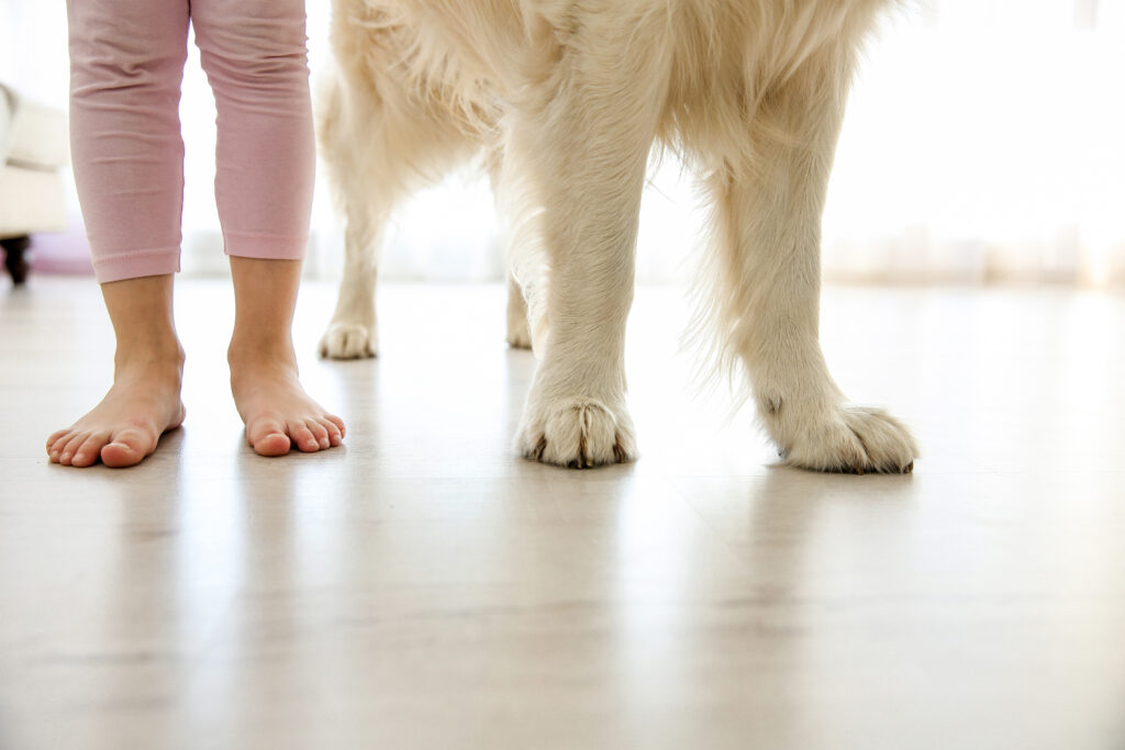 うるま市の新築住宅で愛犬との暮らしを考えた入居前の床づくり