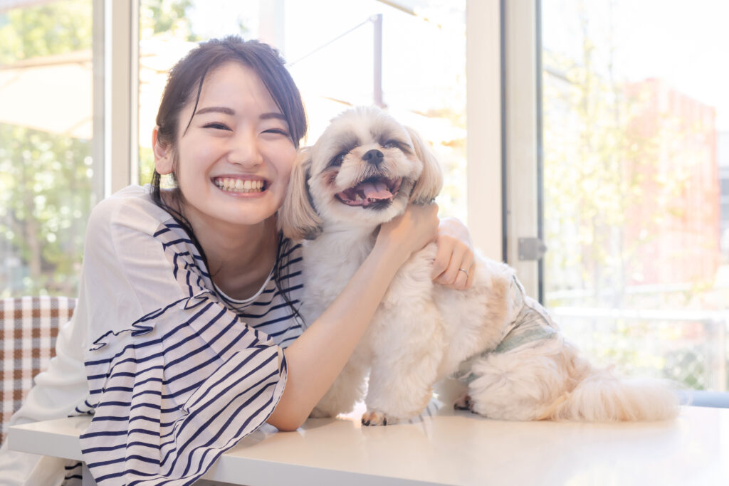愛犬の足腰への負担に配慮して日常生活でできること