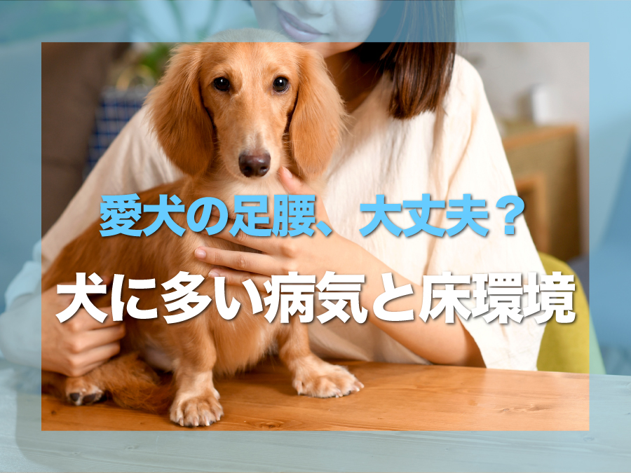 うるま市で愛犬の足腰に配慮した住まい｜犬に多い病気と床環境を解説