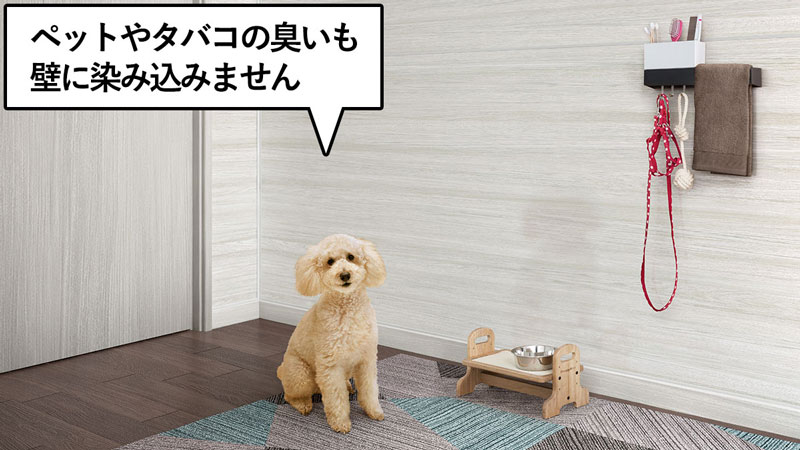 浦添市でペットと暮らす新築住宅に施工したエマウォール